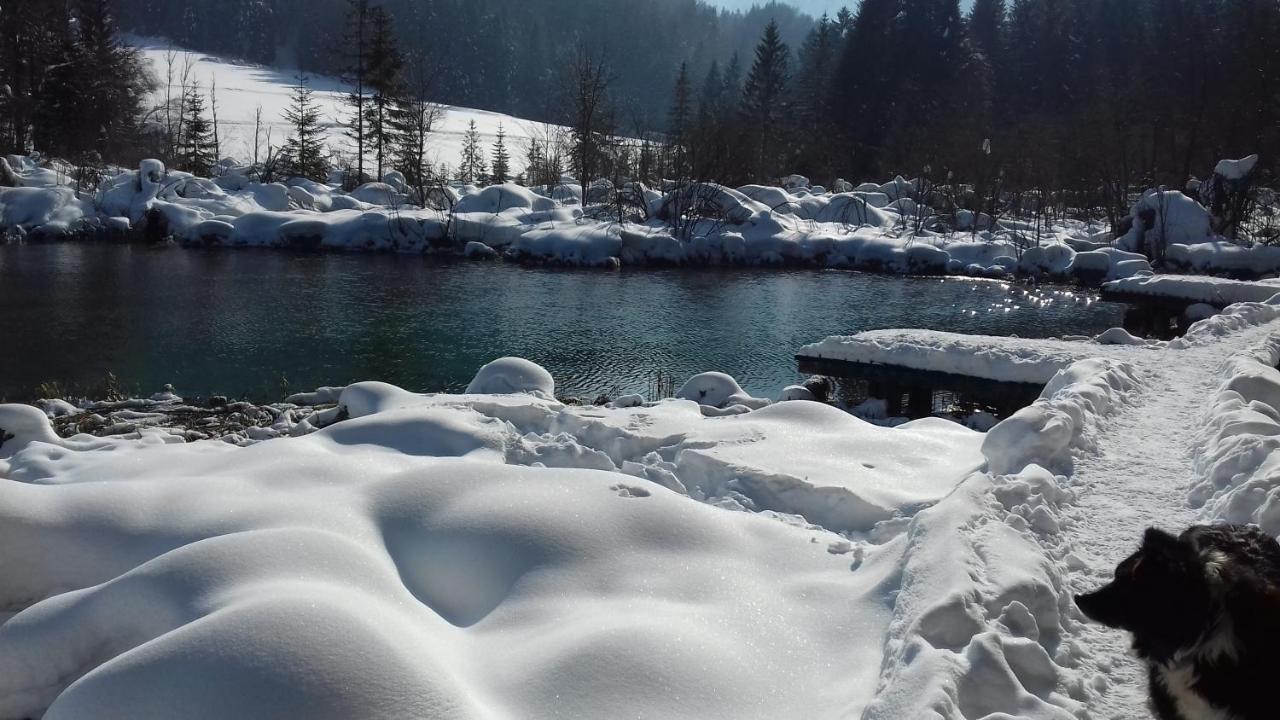 Apartma Kramar Podkoren Kranjska Gora Exterior foto
